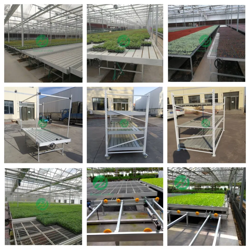 High Quality Greenhouse Galvanized-Steel Rolling Bench Seedbed System for Agricultural Planting Seedbed Greenhouse Producers