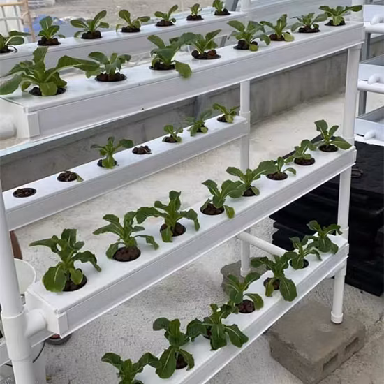 Système de canal Nft hydroponique vertical intérieur pour légumes à feuilles