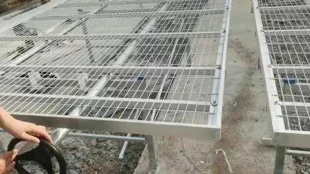 Équipement d'irrigation et de culture hydroponique Dwc pour serre